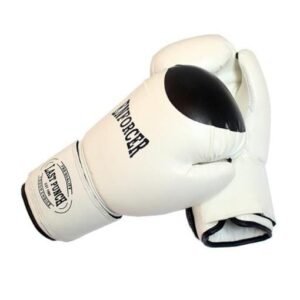 BOXING GLOVES PRO